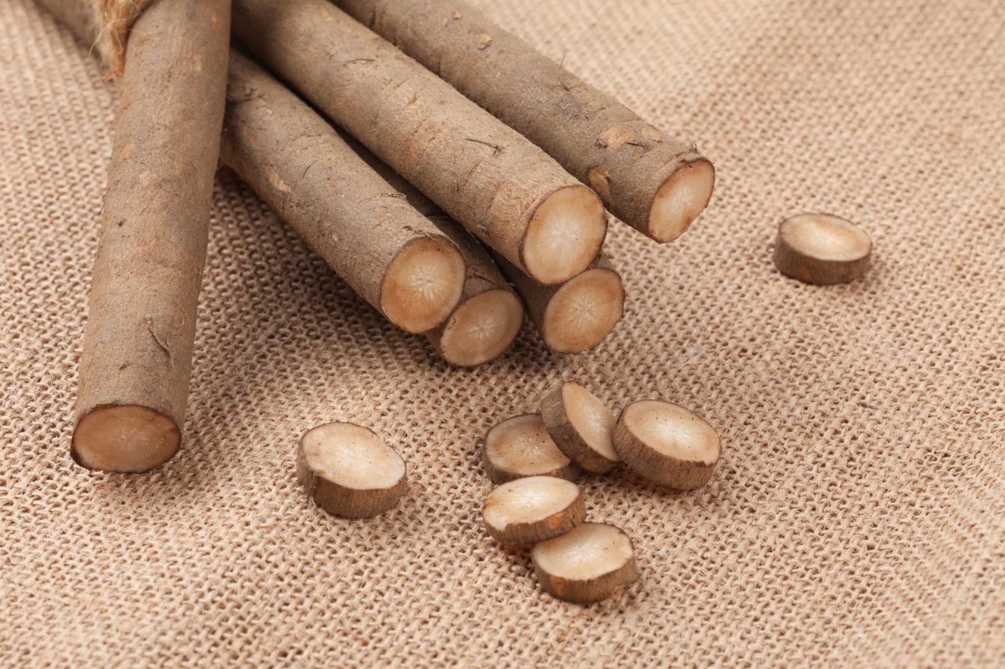 Fresh botanical ingredients used in Dr. Lou's Organic Skincare handcrafted formulations.