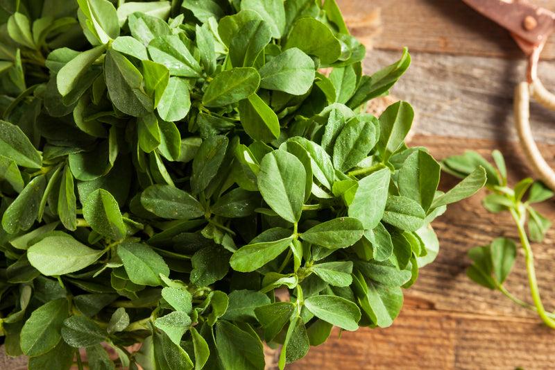 Fresh botanical ingredients used in Dr. Lou's Organic Skincare handcrafted formulations.